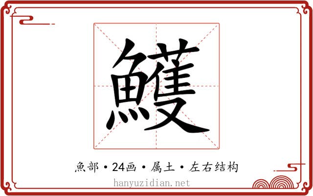 鱯
