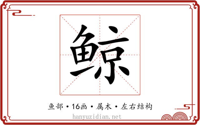 鲸 鲸