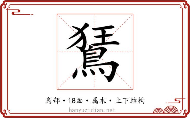 鵟 鵟