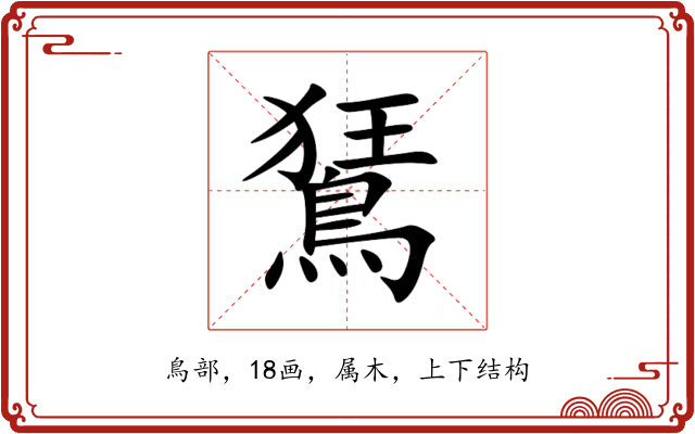 鵟 鵟