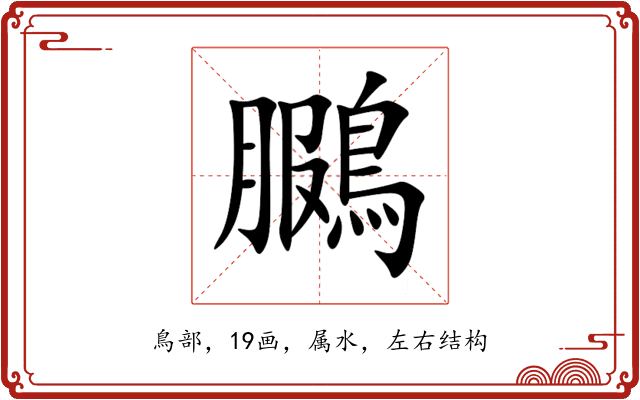 鵩