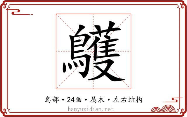 鸌 鸌