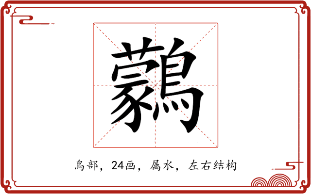 鸏