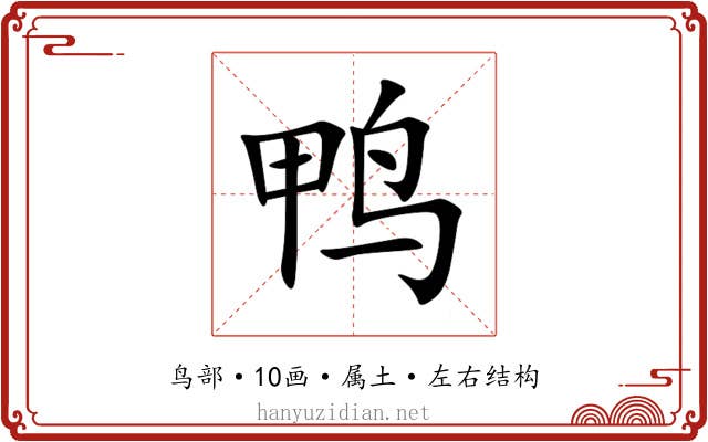 鸭 鸭