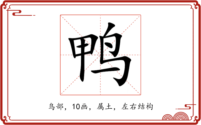 鸭 鸭