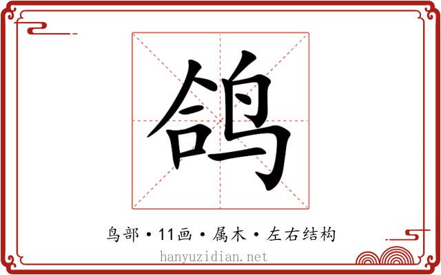 鸽 鸽