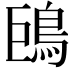 𩿝